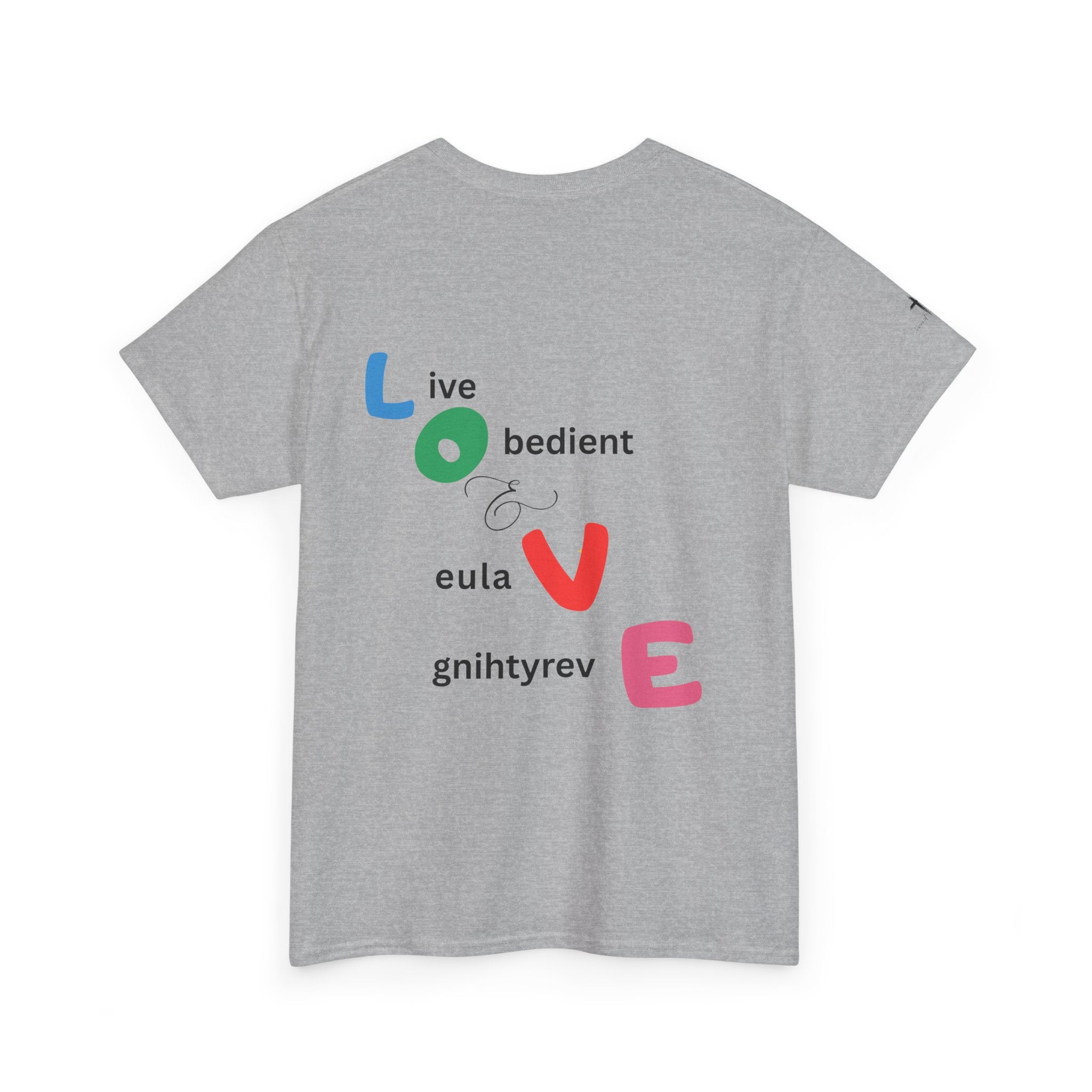 LOVE Colorblock Graphic Tee — Playful Back Typography 'Live Obedient & Value Everything ' Shirt