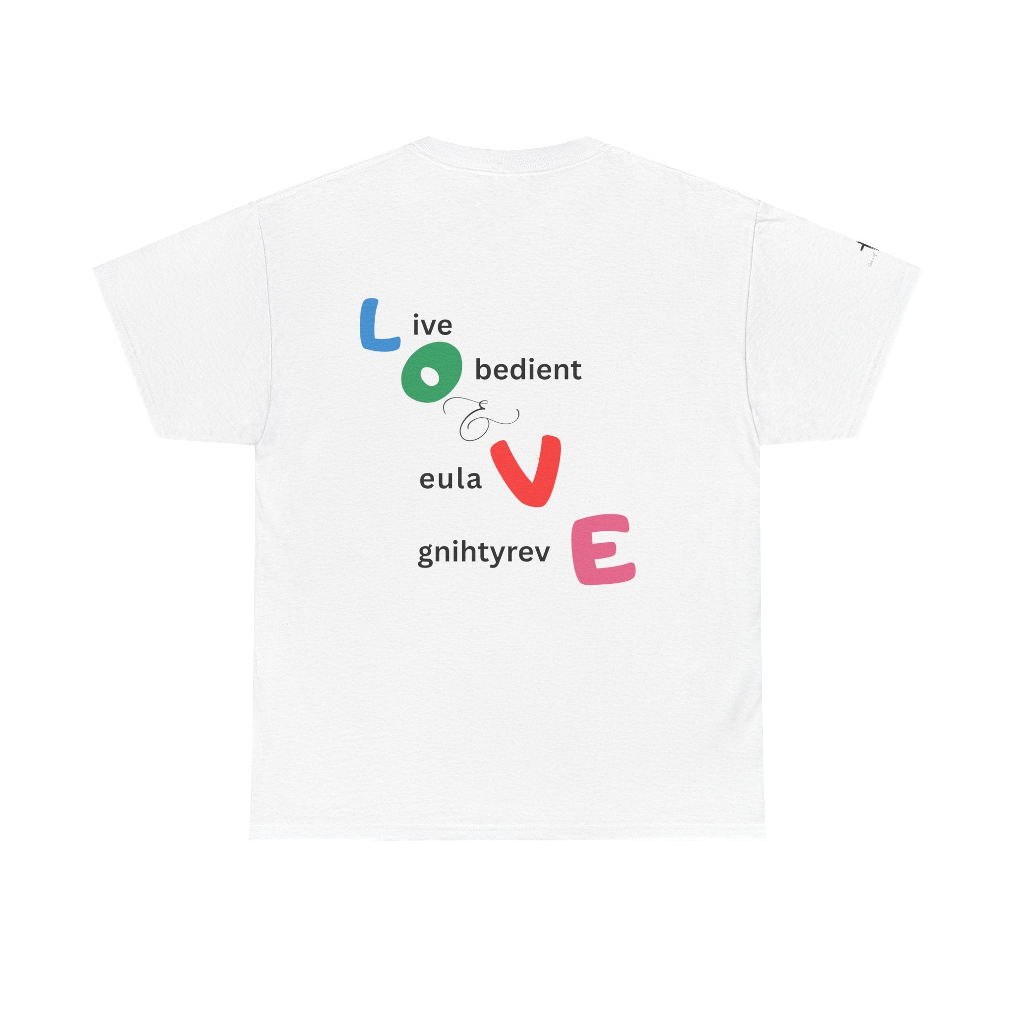 LOVE Colorblock Graphic Tee — Playful Back Typography 'Live Obedient & Value Everything ' Shirt