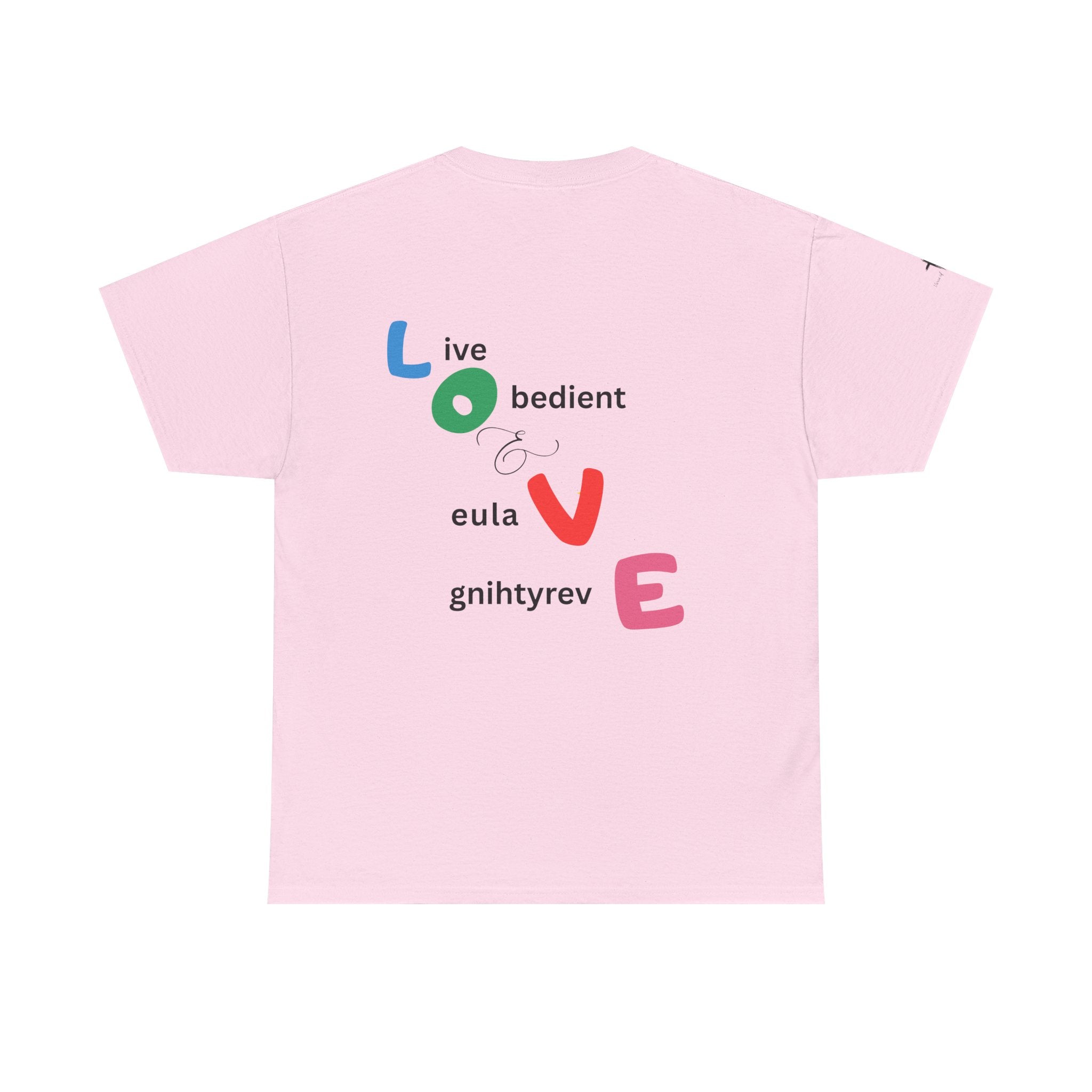 LOVE Colorblock Graphic Tee — Playful Back Typography 'Live Obedient & Value Everything ' Shirt