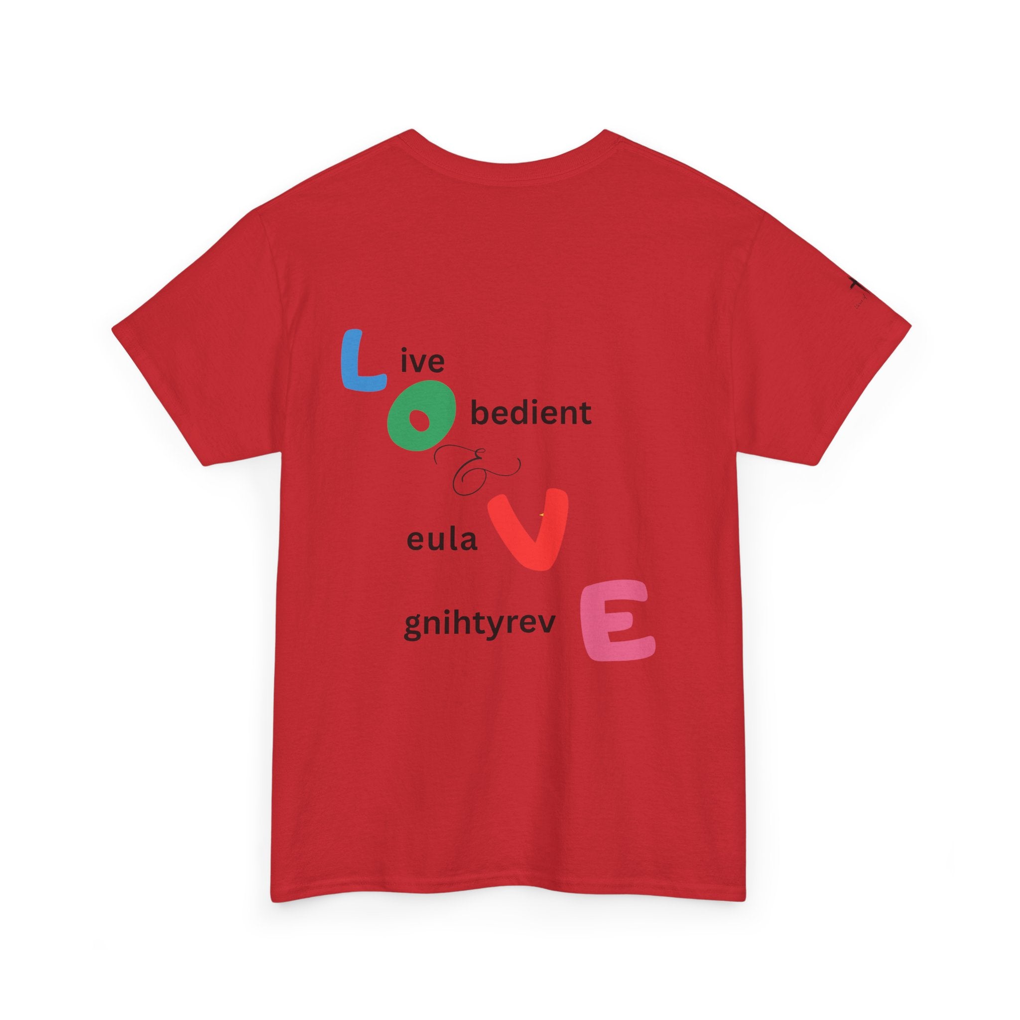 LOVE Colorblock Graphic Tee — Playful Back Typography 'Live Obedient & Value Everything ' Shirt