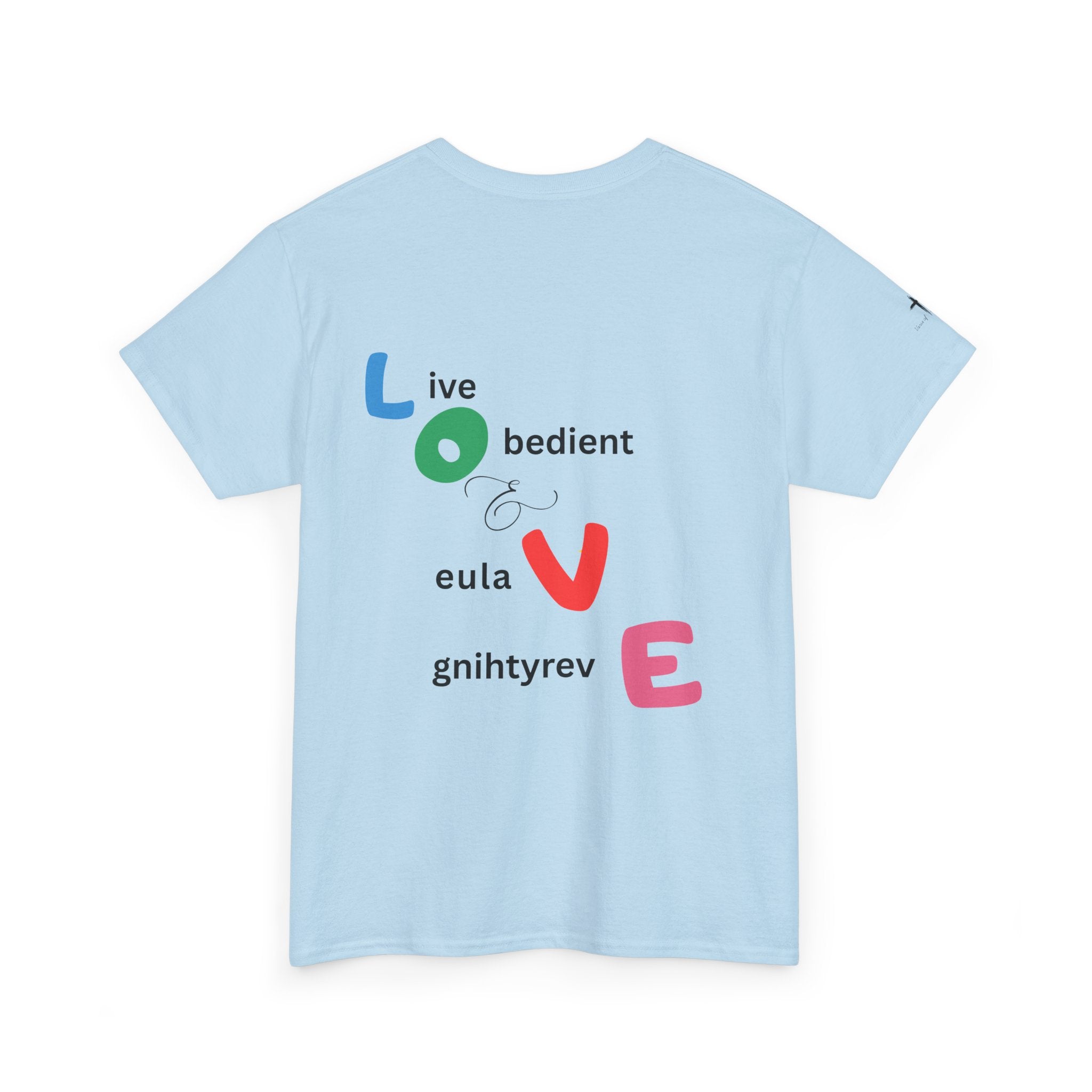 LOVE Colorblock Graphic Tee — Playful Back Typography 'Live Obedient & Value Everything ' Shirt