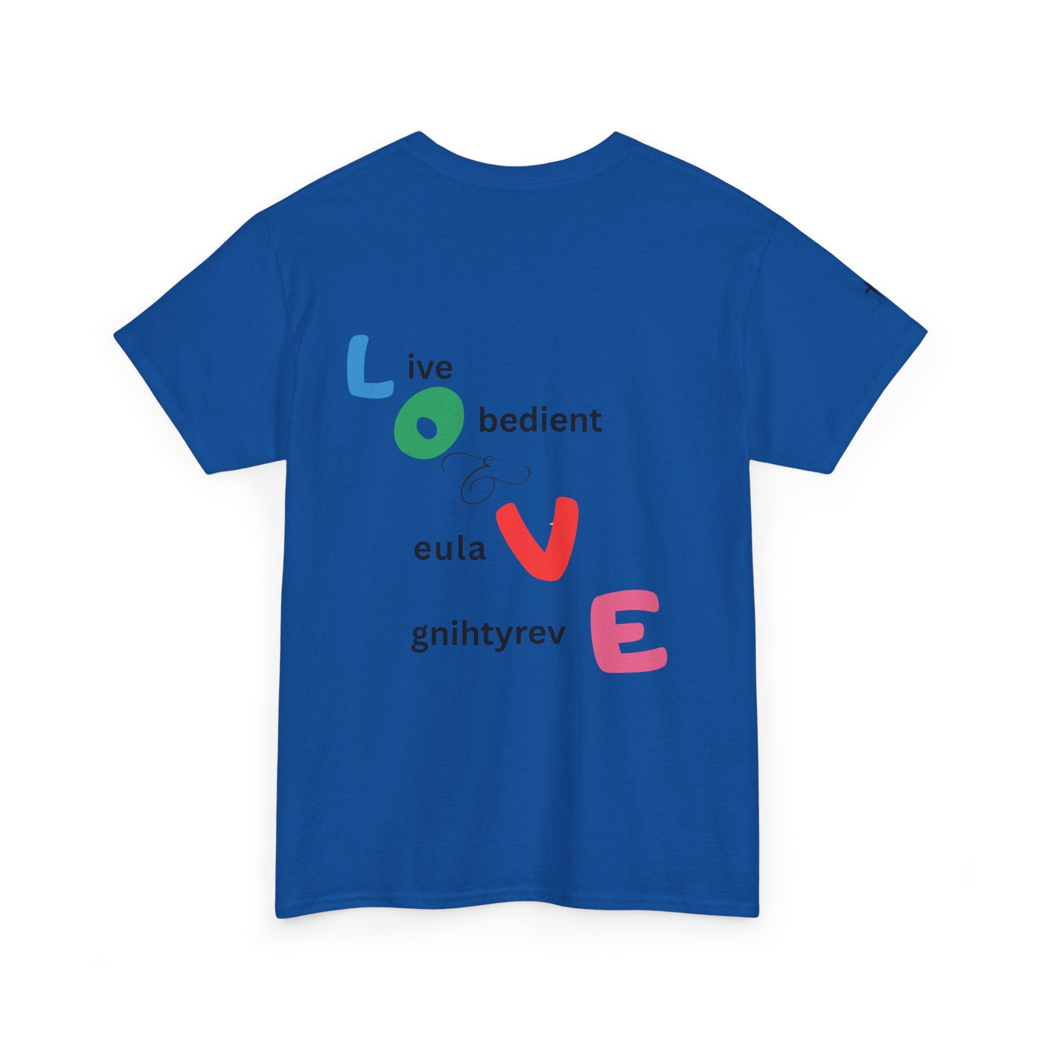 LOVE Colorblock Graphic Tee — Playful Back Typography 'Live Obedient & Value Everything ' Shirt