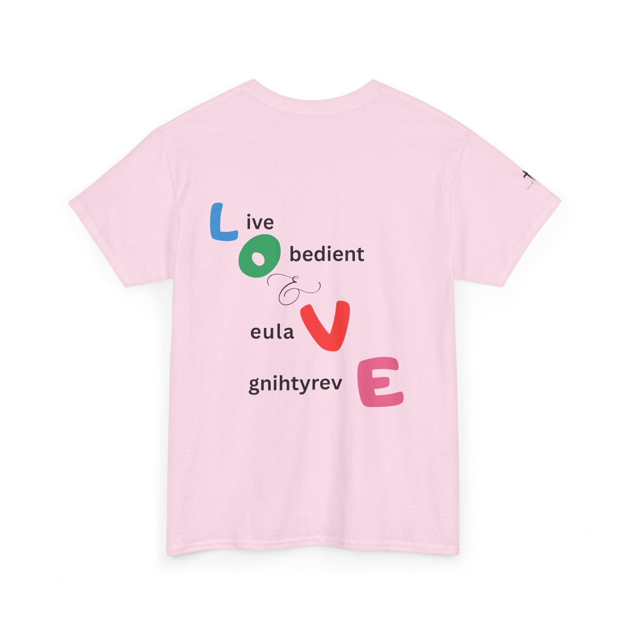 LOVE Colorblock Graphic Tee — Playful Back Typography 'Live Obedient & Value Everything ' Shirt