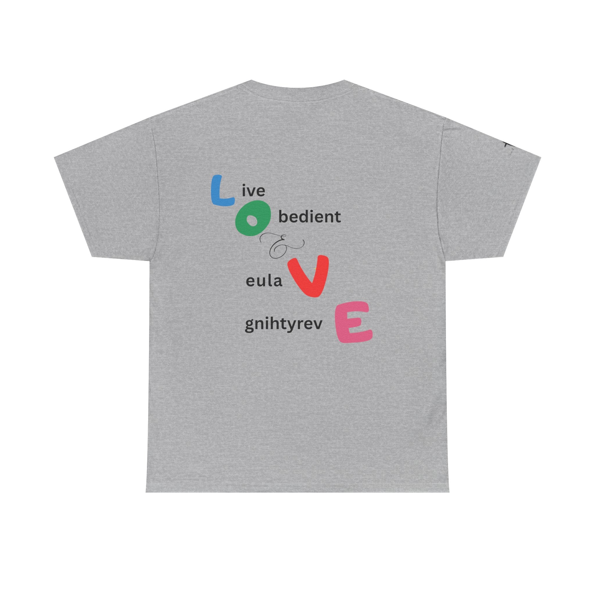 LOVE Colorblock Graphic Tee — Playful Back Typography 'Live Obedient & Value Everything ' Shirt