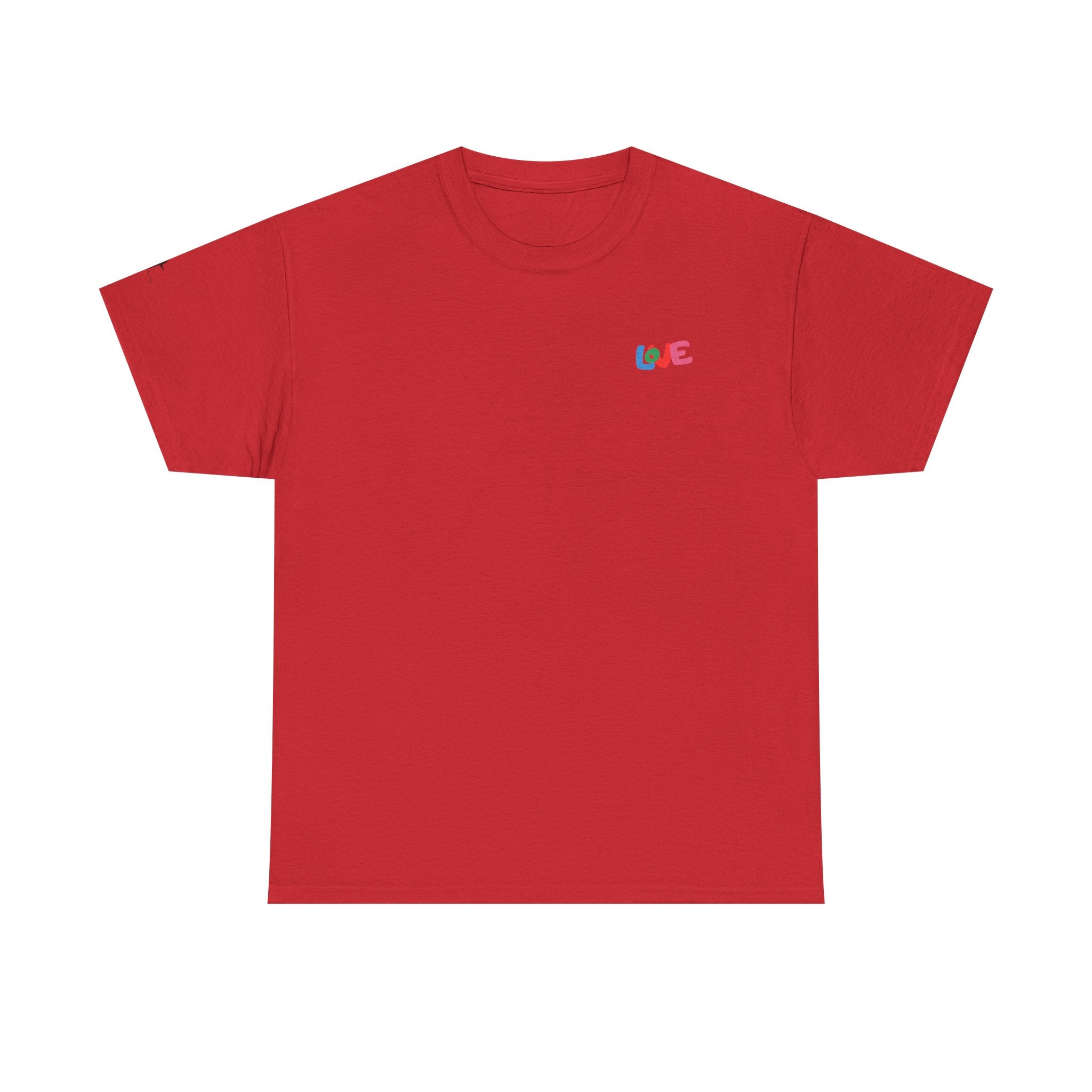 LOVE Colorblock Graphic Tee — Playful Back Typography 'Live Obedient & Value Everything ' Shirt