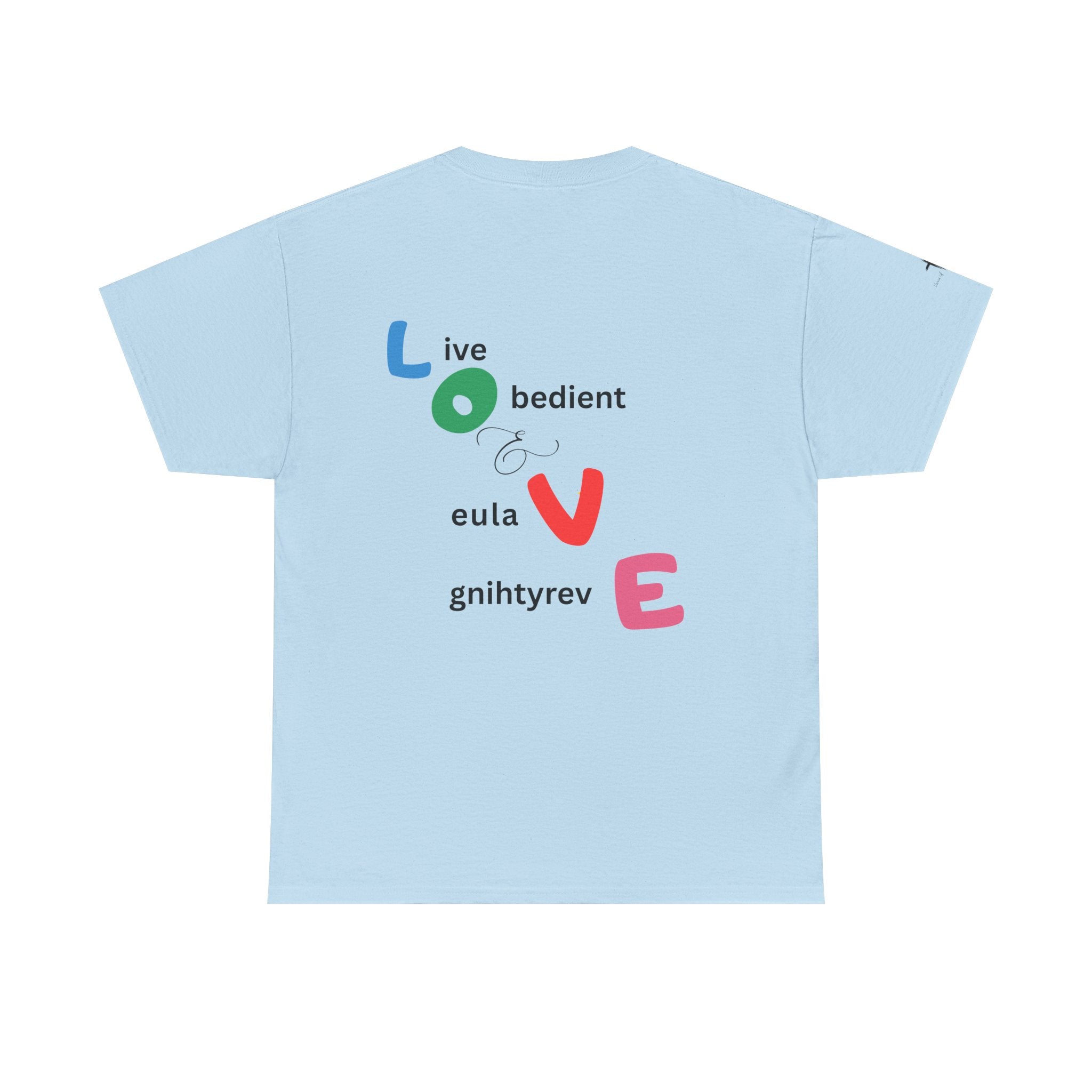 LOVE Colorblock Graphic Tee — Playful Back Typography 'Live Obedient & Value Everything ' Shirt