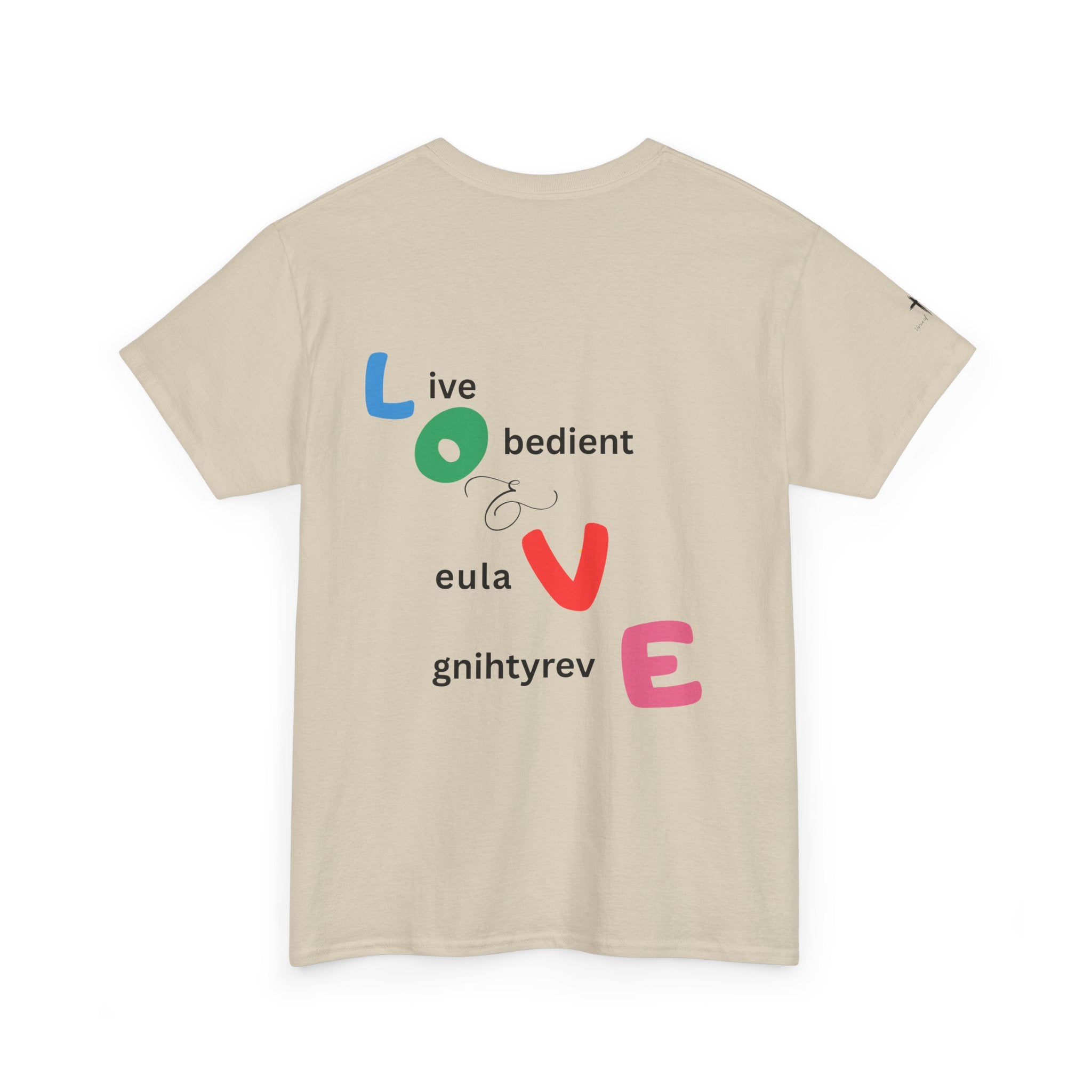 LOVE Colorblock Graphic Tee — Playful Back Typography 'Live Obedient & Value Everything ' Shirt