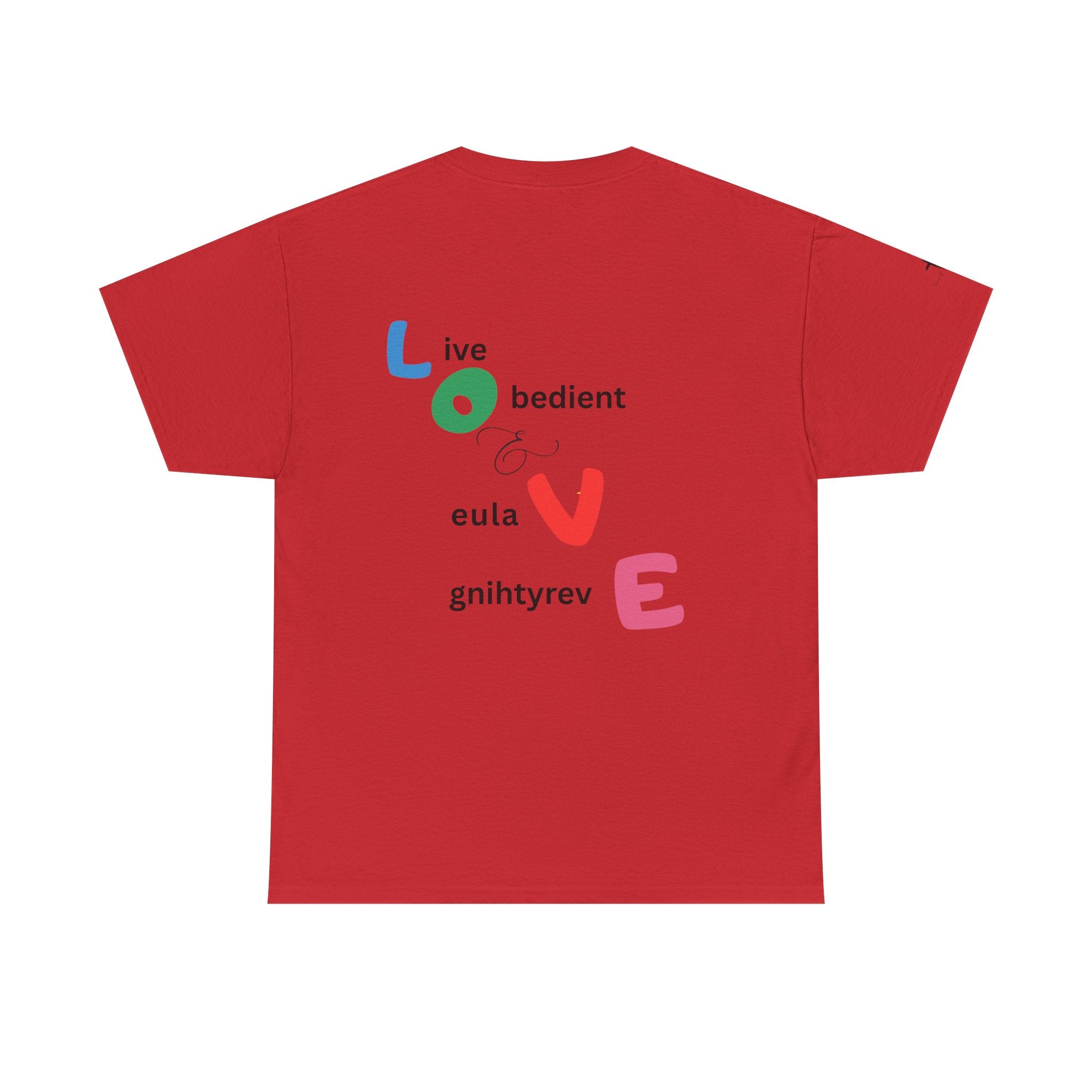 LOVE Colorblock Graphic Tee — Playful Back Typography 'Live Obedient & Value Everything ' Shirt