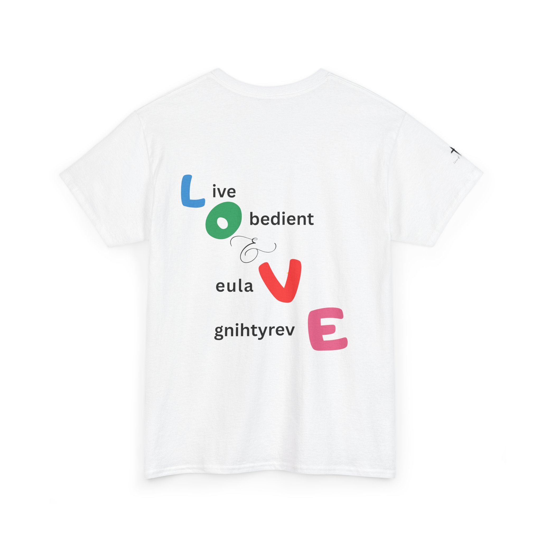 LOVE Colorblock Graphic Tee — Playful Back Typography 'Live Obedient & Value Everything ' Shirt